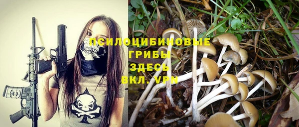2c-b Иннополис