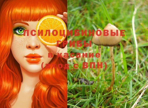 дурь Каменногорск