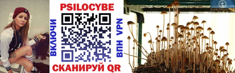 Купить  Николаевск  Галлюциногенные грибы мухоморы 